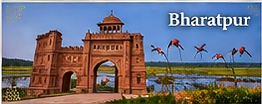 Discover Bharatpur, Rajasthan