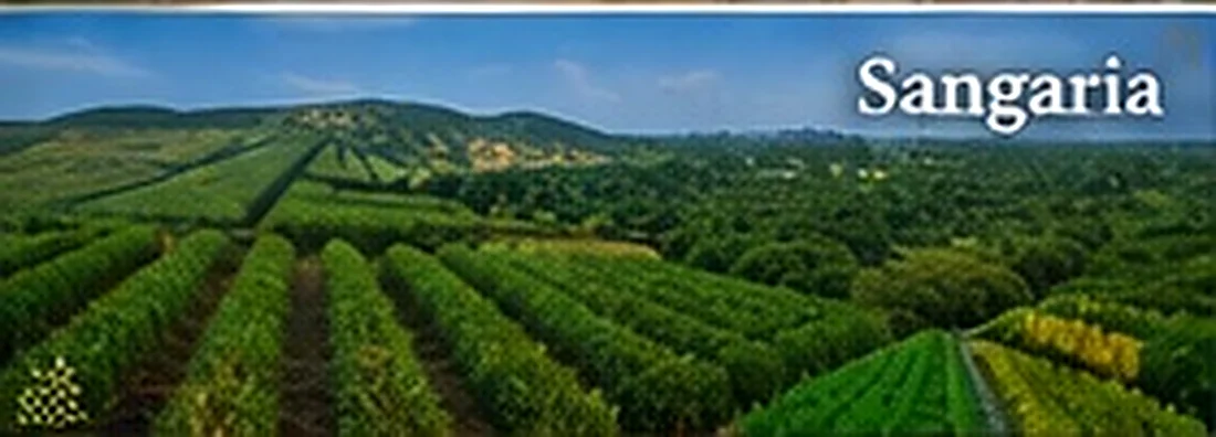 Discover Sangaria, Rajasthan
